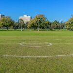 The Basics of Aussie Rules Football